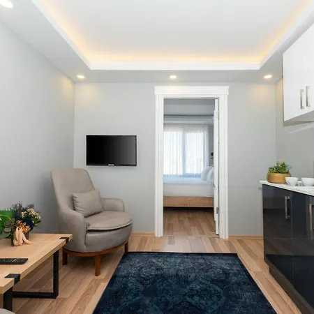 Merkez 4*
